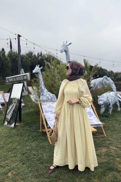 Pilise Elbise  Sarı